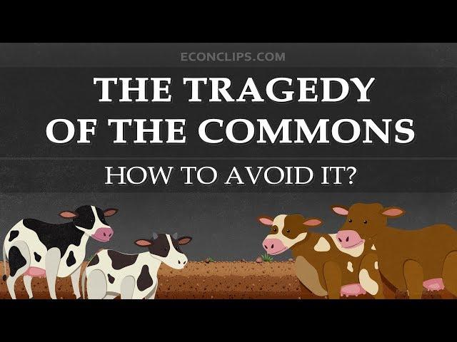  The Tragedy of the Commons | How to Avoid It?