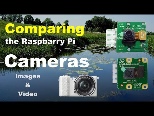 Comparing Raspberry Pi Cameras - A visual experience