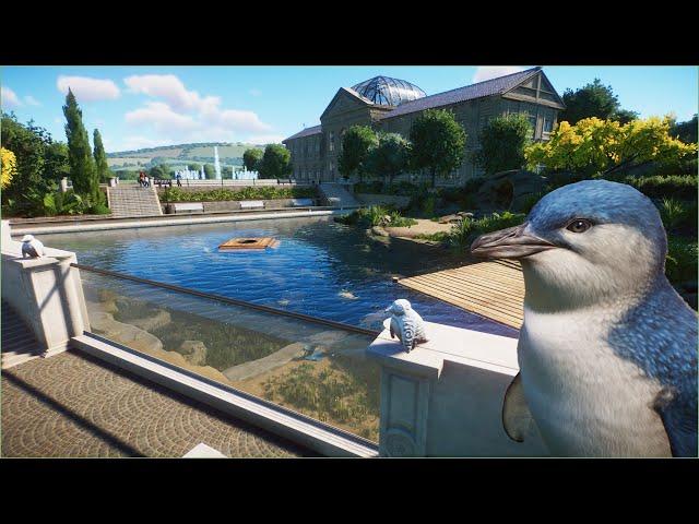  Little blue penguin habitat | Quaco Zoo | Planet Zoo | speedbuild