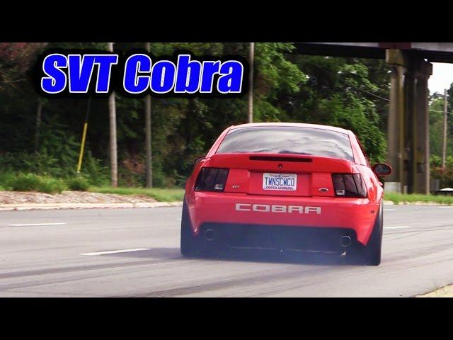 Mustangs leaving SVT Cobra Club  Parkway Ford Show 2015 (1 of 3)