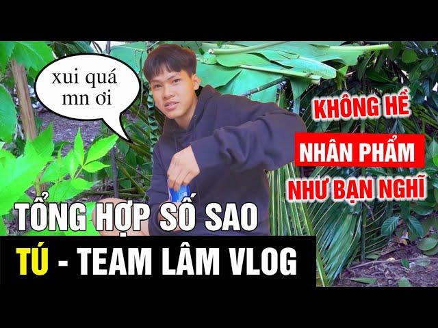 Tú Team Lâm Vlog Nhọ Hơn Bạn Nghĩ | Tổng Hợp Số Sao Của Lê Tú Khi Cắm Trại