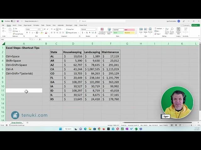 Excel Steps: Tips for Range Selection