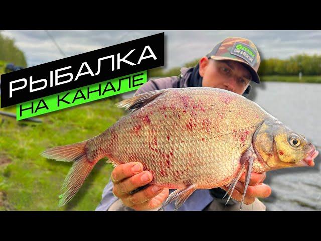 ЛОВЛЯ ЛЕЩА НА ФИДЕР / РЫБАЛКА НА КАНАЛЕ / FROS FISHING