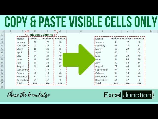 Copy & Paste VISIBLE CELLS ONLY | ExcelJunction.com