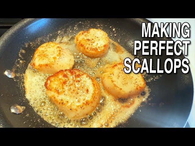 How to Make Perfect Scallops | Ken Domik