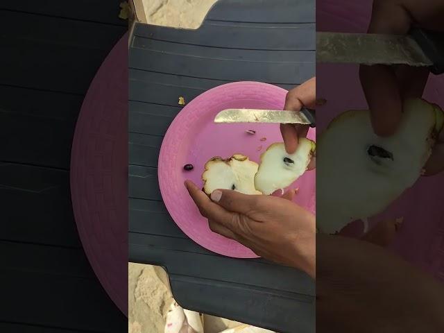 Habibi How to cut and eat custard apple 