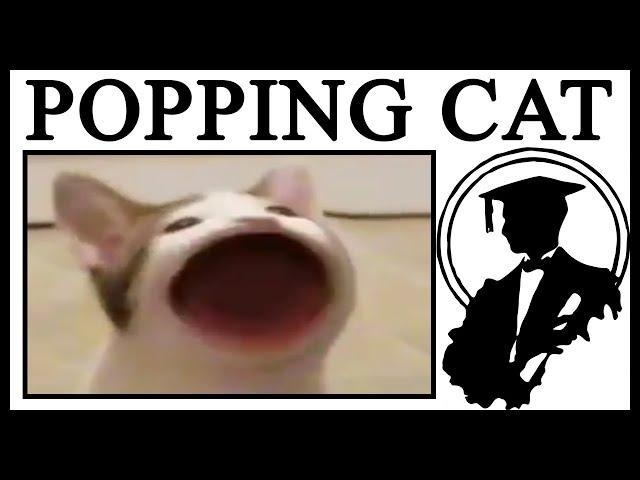 Why Is The Cat Going "Pop Pop Pop"?