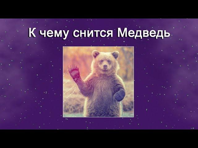 К чему снится Медведь – толкование сна по Соннику