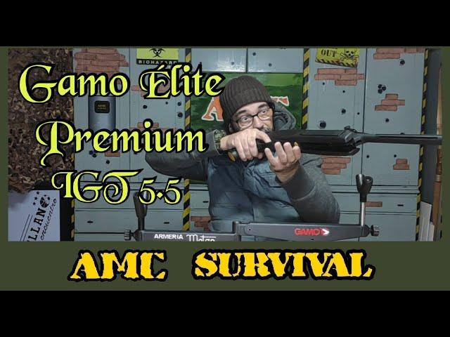 Gamo Elite Premium IGT 5,5 mm (.22) #armeriamateo