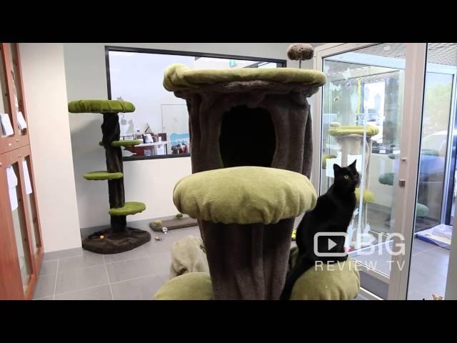 The Pets Hotel, Pet Accommodation in Melbourne for Pet Boarding or for Doggy Day Care