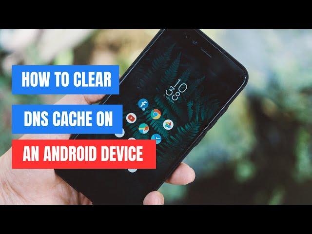 How to Clear DNS Cache in Chrome on Android Device