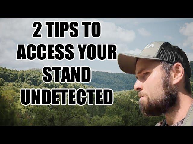 2 MUST DO Tactics to Access your Stand in Hill Country