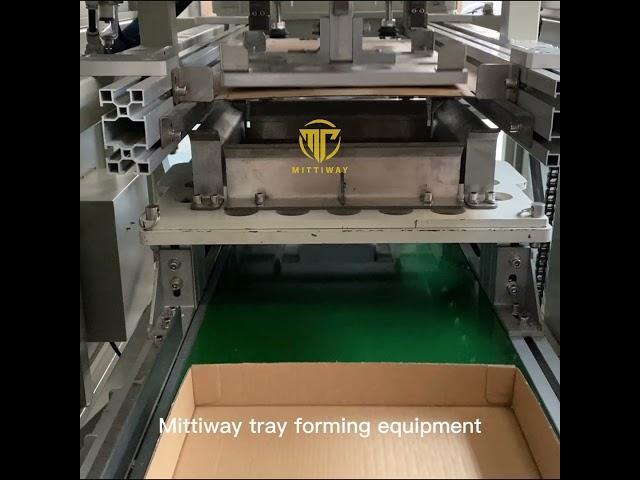 MTW -  Hot-melt glue packaging equipment