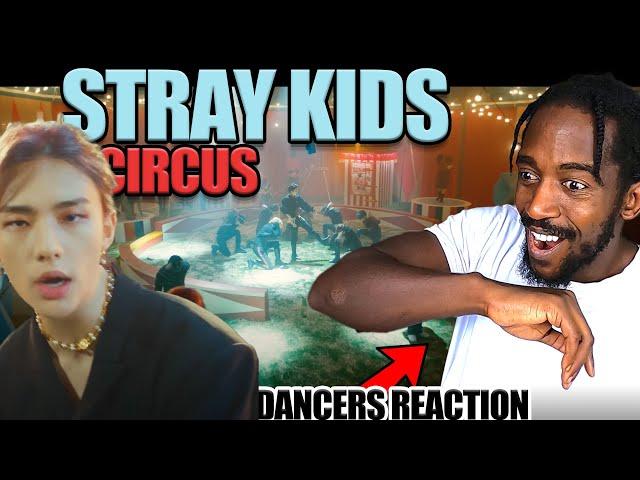 PROFESSIONAL DANCER REACTS  STRAY KIDS | Stray Kids 『CIRCUS』 Music Video REACTION