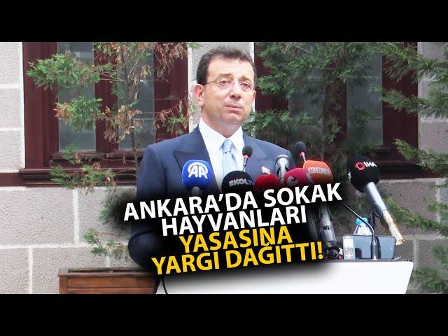 Ekrem İmamoğlu, Ankara'da sokak hayvanları yasasına resmen yargı dağıttı!