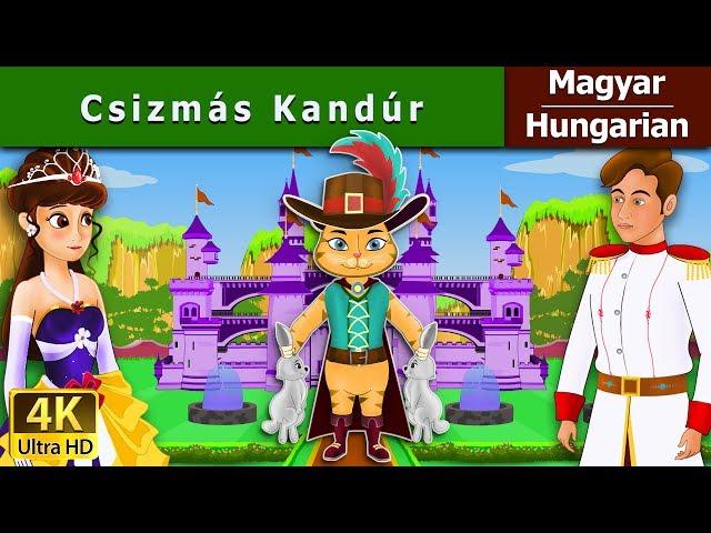 Puss in Boots in Hungarian | Esti mese | Tündérmese | Mese | Magyar Tündérmesék @HungarianFairyTales