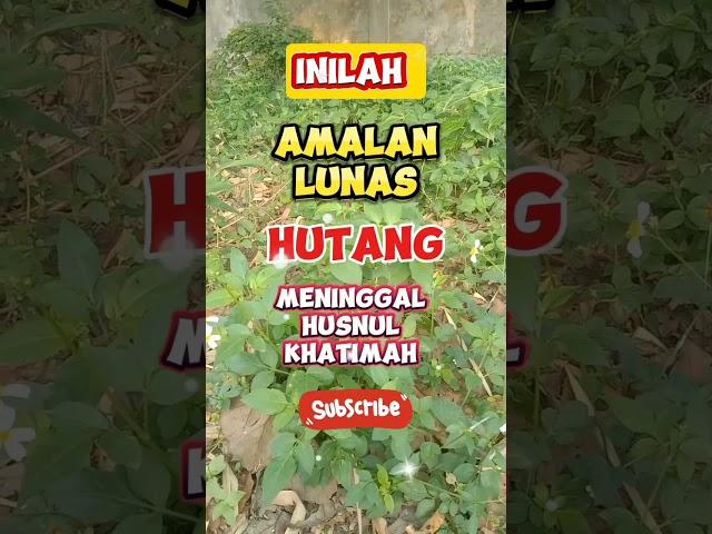 Inilah amalan lunas hutang meninggal Husnul khatimah #islamshorts #dakwahislam #mbahmoen