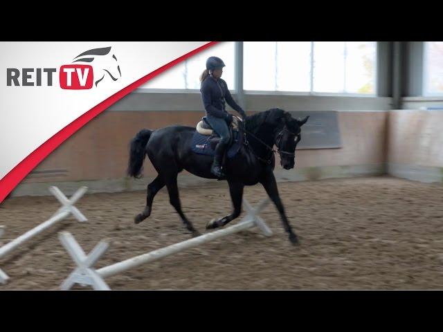 REITTV-Tipps: Der Cavaletti-Zirkel