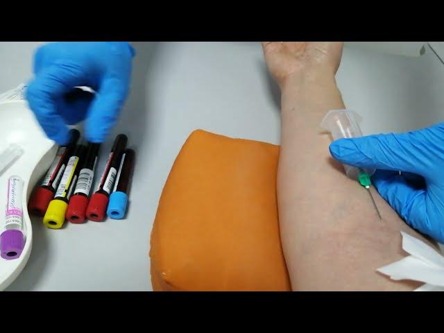 Забор крови из вены вакуумной системой Taking blood from a vein using a vacuum system