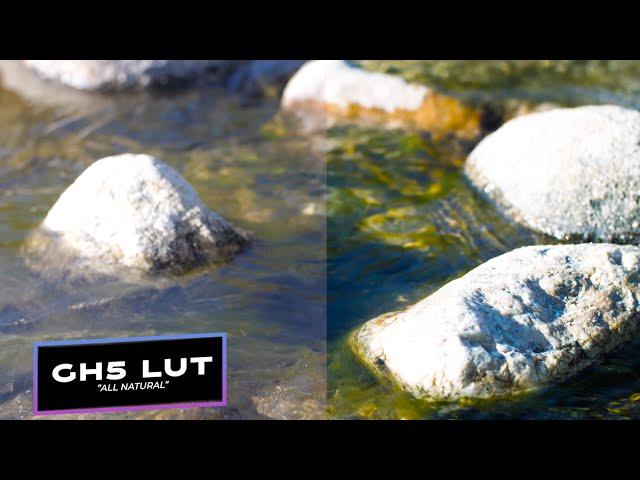 "All Natural" Gh5 Free LUT - example video