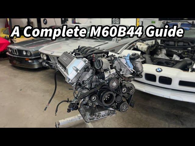 Building A BMW M60B44 "Frankenmotor" From Start To Finish | The Best V8 BMW Never Made | E31 Project