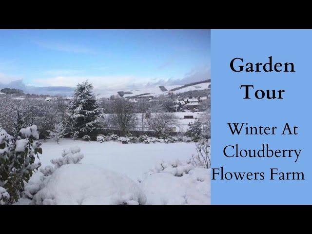 Garden Tour Cloudberry Flowers | Winter Flower Farm | Cut Flower Garden