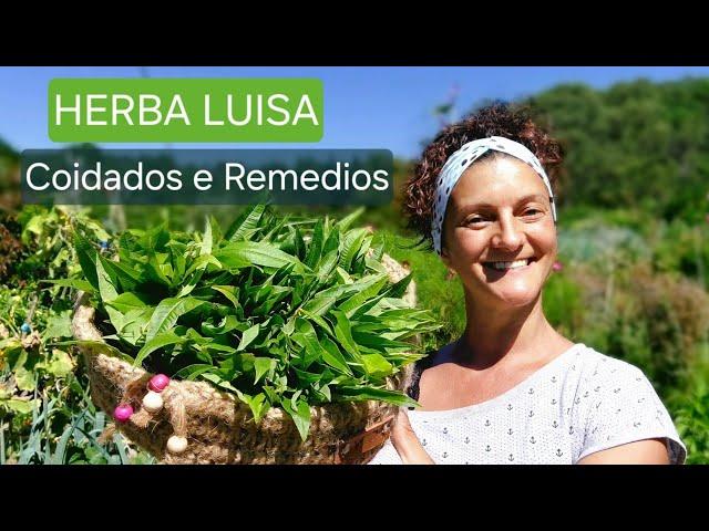 HERBA LUISA  ( Coidados - Usos )   ||  { NUSKA }