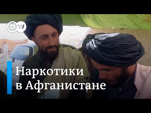 Опиум в Афганистане: что наркотики делают со страной на самом деле