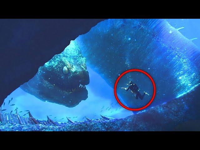 Diver Captured What No One Was Supposed to See