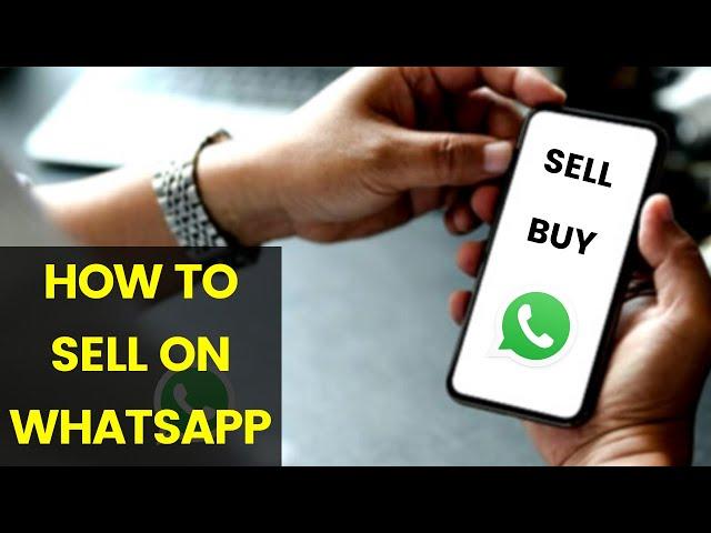 How To Market Your Business On WhatsApp (2023)