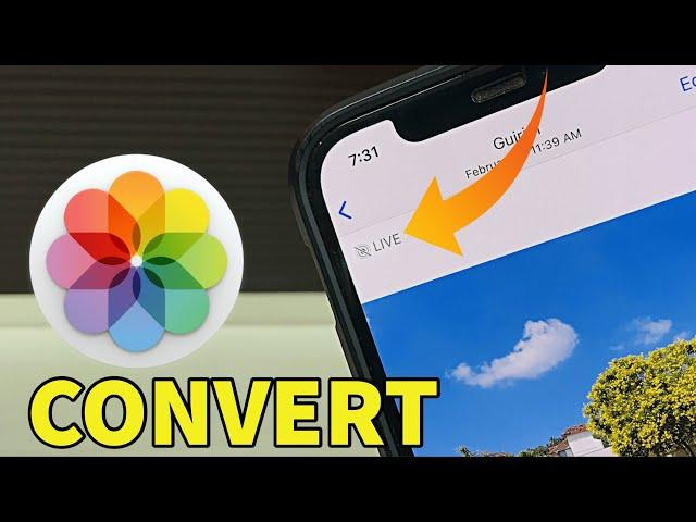 How To Convert Live Photos To Normal Photo in iPhone I How To Save iPhone Live Photos as Still Image