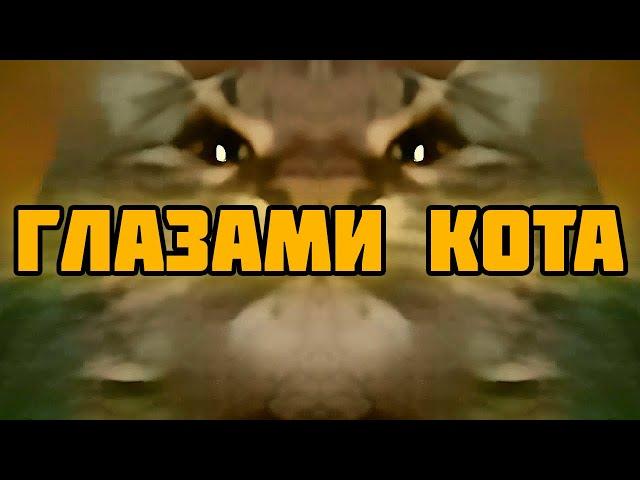 Кит ты маму мав Но глазами КОТА