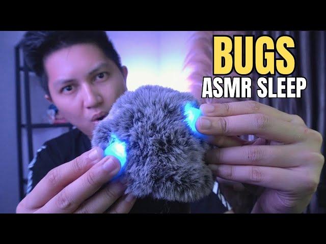 ASMR BUGSFor Relaxing Brain 