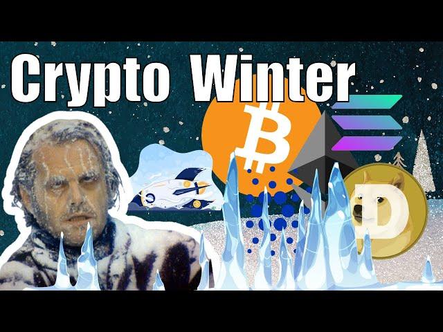 Crypto Winter - What It Is and How To Profit From It