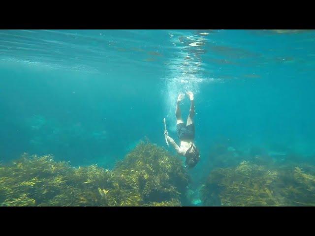 Diving and Fishing in Milford Sound | Hollyford to Milford: Episode 3