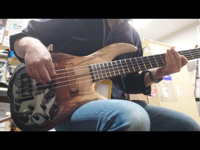 F BASS BN5 Brown Fade DEMO