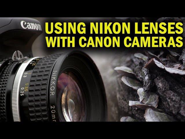 Using Nikon Lenses With Canon Cameras