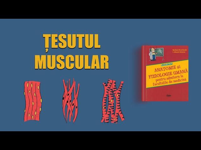 C8. Țesutul muscular | LIVE BARRON'S ADMITERE MEDICINĂ