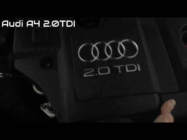 Как заглушить Клапан EGR  2.0 TDI  BPW   Audi A4 8E B7