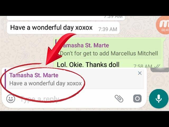 How to reply to Specific or Individual Messages on WhatsApp