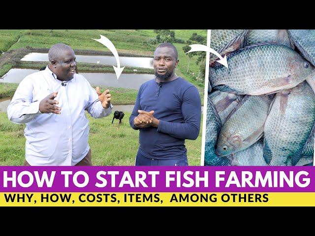 How To Start FISH Farming and Earn Millions In 8 Months