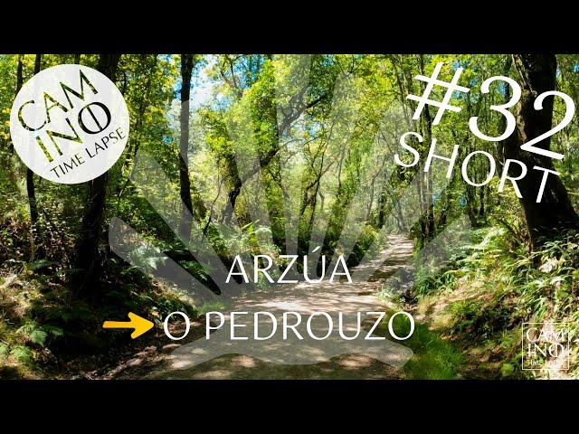 #32 Arzúa – O Pedrouzo | short version | Camino Francés