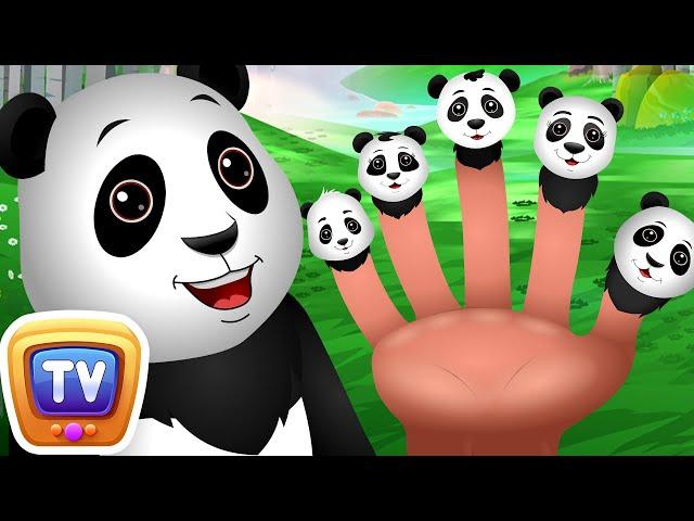 Finger Family Panda Song - Kids Songs and Learning Videos - ChuChu TV Classics