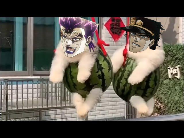 Puppy's Bizarre Adventure | Part 2