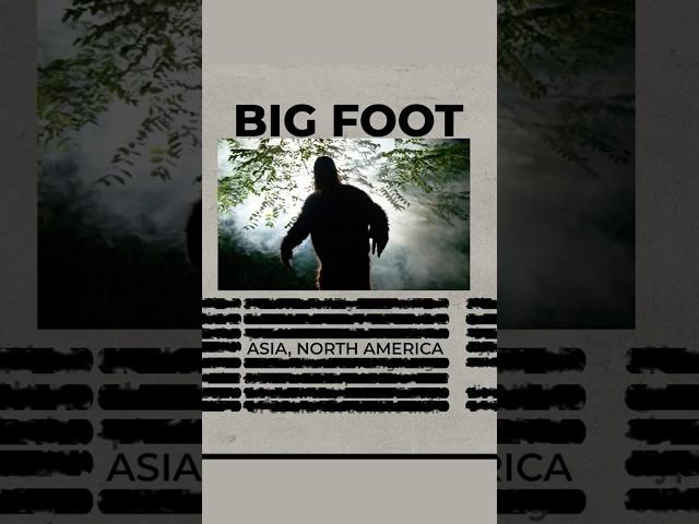 The Surprising Truth About Bigfoot You Never Knew #shorts #youcurious