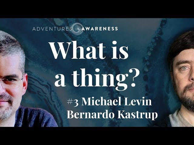 Michael Levin | Bernardo Kastrup #3: Evolution, Metacognition, Life & Death