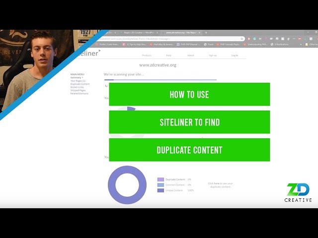 How To Use Siteliner To Find Duplicate Content