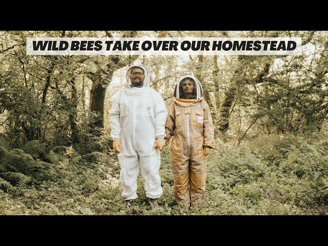 Facing our fears…Becoming unexpected bee keepers on our off-grid homestead