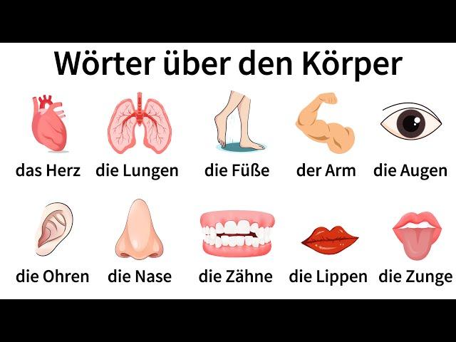 50+ Wörter über den Körper| Deutsch Lernen| Sprechen & Hören| A1-B1| Deutsch für Anfänger