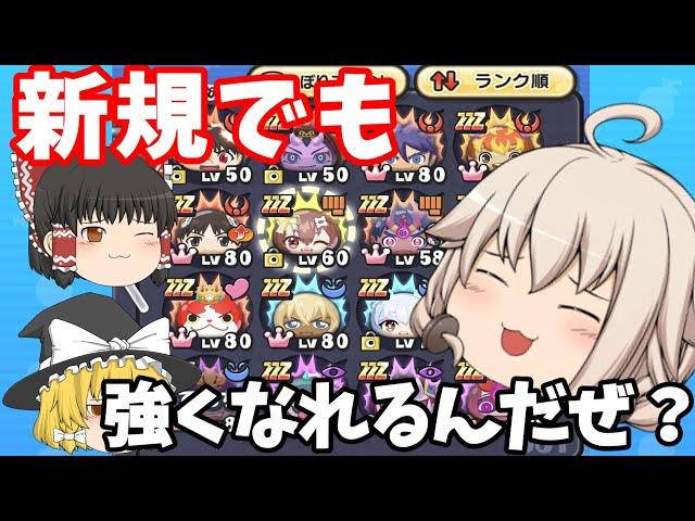 新規でも強くなれる！微課金で一年ガチったボックスのご紹介！【ぷにぷに】